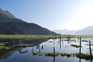 Alaska Railroad