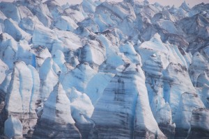 Lamplugh Glacier @ Glacier Bay NP