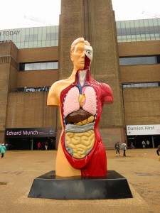 Damien Hirst @ Tate Modern