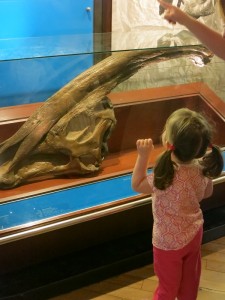 Emerson inspecting the exhibits at the Natural History Museum in London