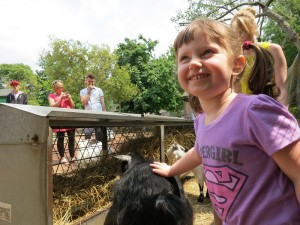 Emerson making friends at the petting zoo...