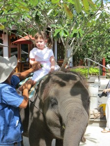 Emerson sitting on the elephant at the Marriott Mai Khao Beach Resort