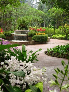 National Orchid Gardens, Singapore