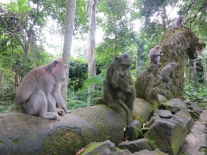 Sacred Monkey Forest Sanctuary