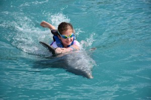 Dolphin Swim! (Grand Cayman, November 2016)